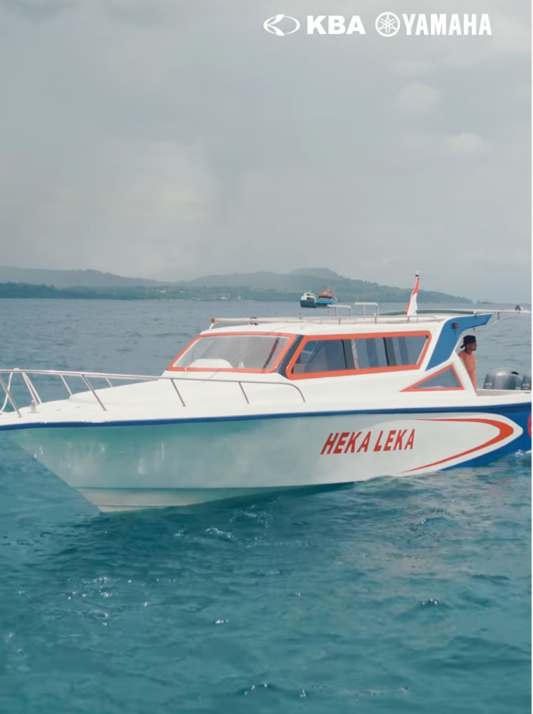 Heka Leka's Literacy Boat